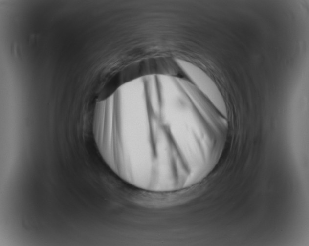 X0000083030037200703022036