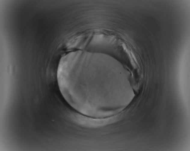 X0000083030039200703022036