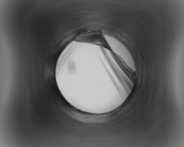 X0000083030040200703022036