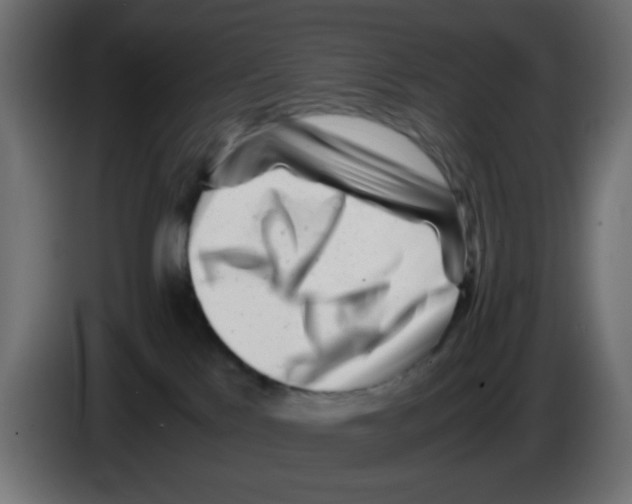 X0000083030041200703022036