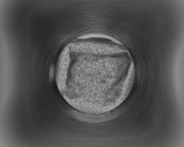 X0000083030042200703022036