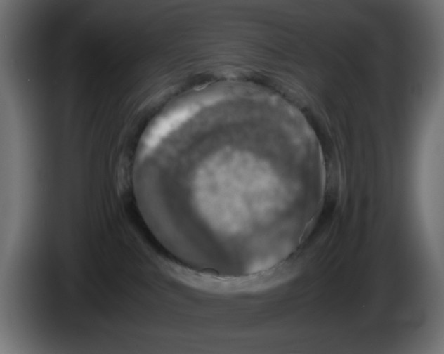 X0000083030043200703022036