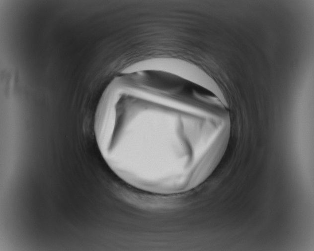 X0000083030044200703022036