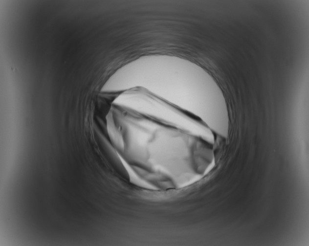 X0000083030045200703022036