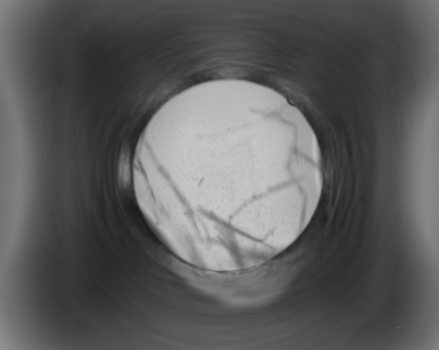 X0000083030046200703022036