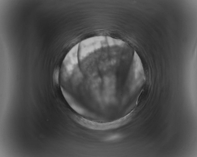 X0000083030047200703022036