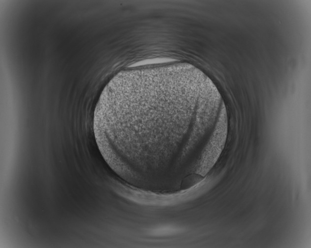 X0000083030048200703022036