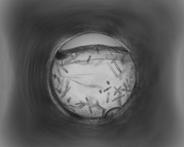 X0000083030049200703022035