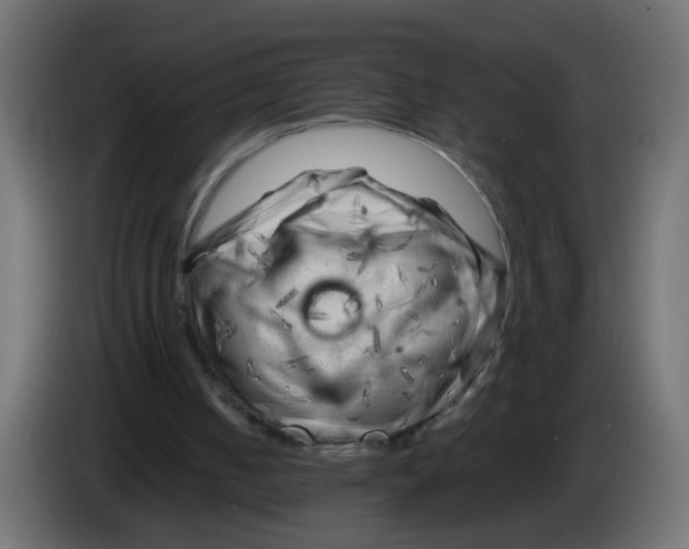 X0000083030050200703022035