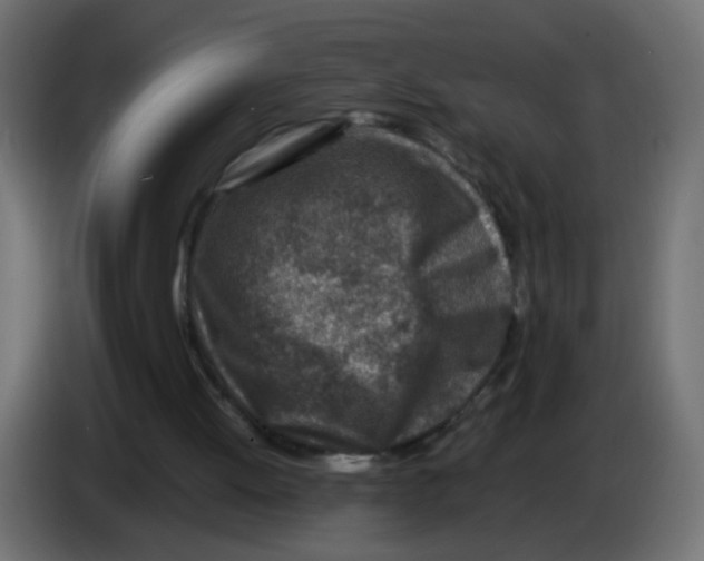 X0000083030052200703022035