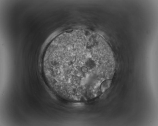 X0000083030053200703022035