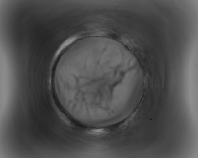 X0000083030054200703022035