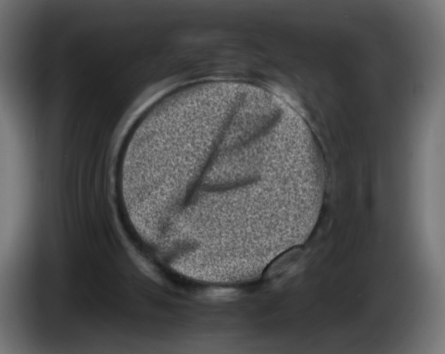 X0000083030055200703022035