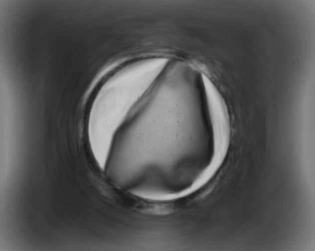 X0000083030056200703022035