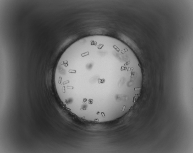 X0000083030058200703022035