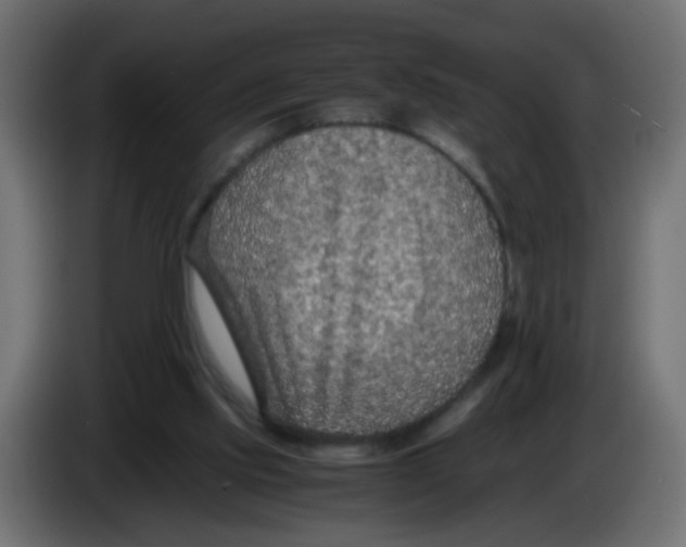 X0000083030061200703022035