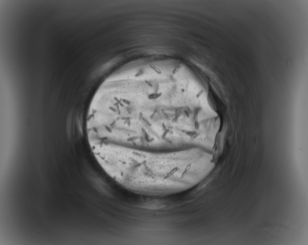 X0000083030062200703022035