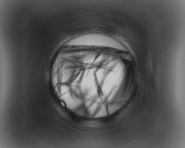 X0000083030063200703022035