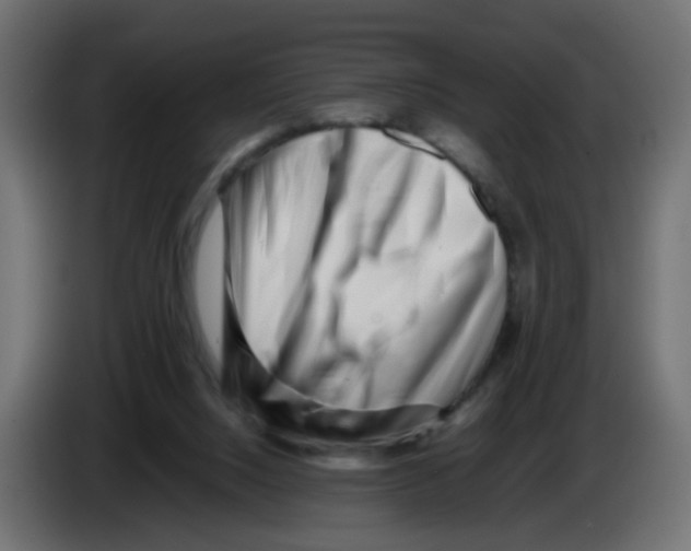 X0000083030064200703022035