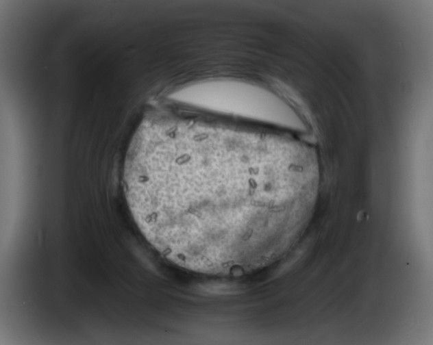 X0000083030065200703022035