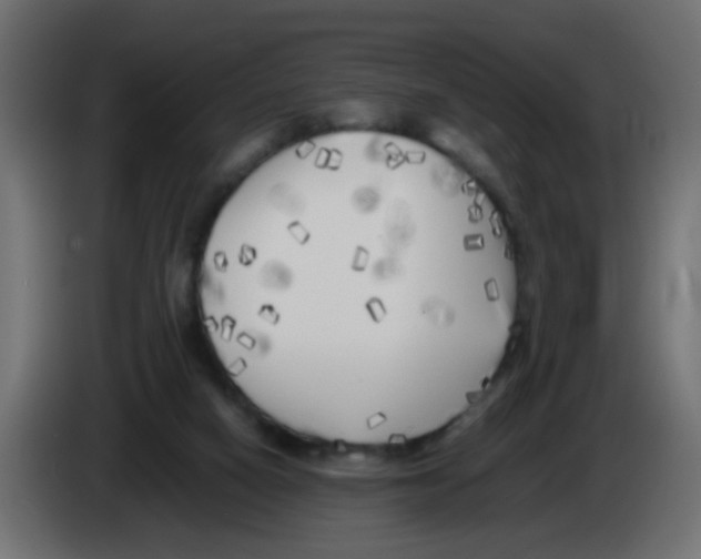 X0000083030066200703022035