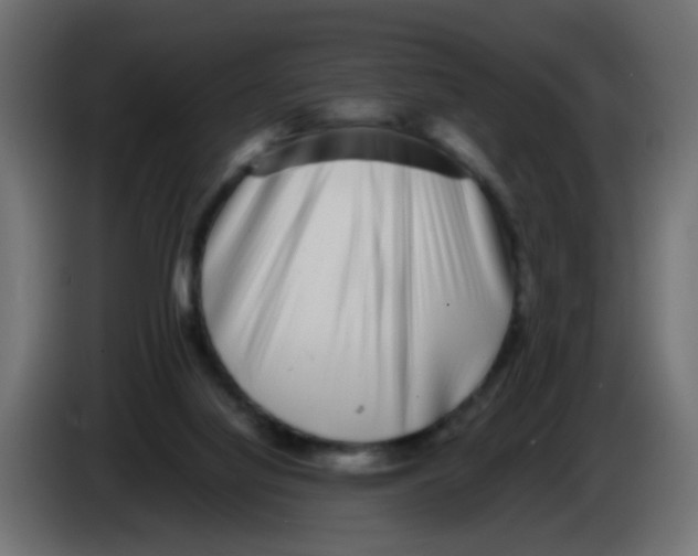 X0000083030068200703022035