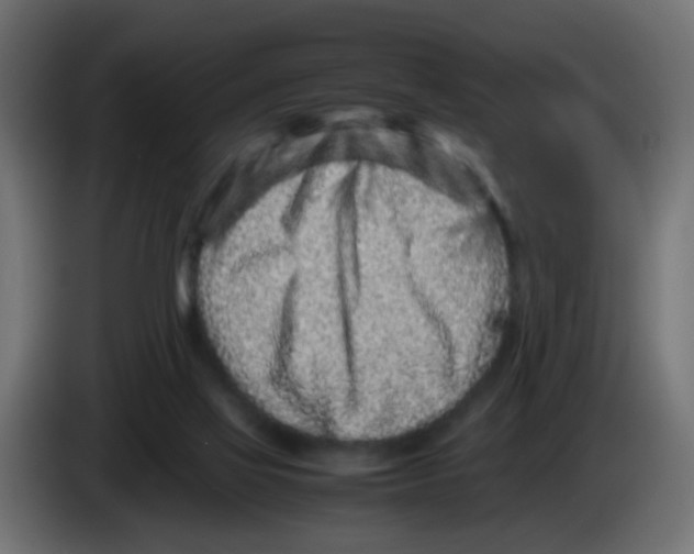 X0000083030069200703022035