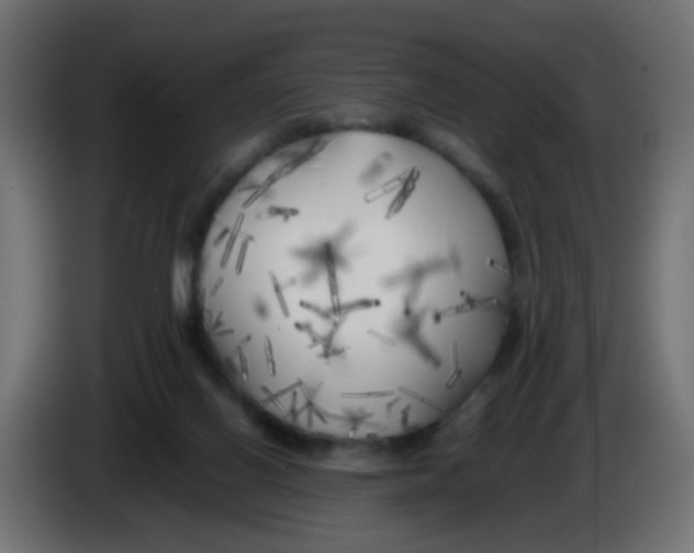 X0000083030070200703022035