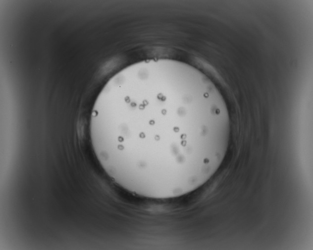 X0000083030071200703022035