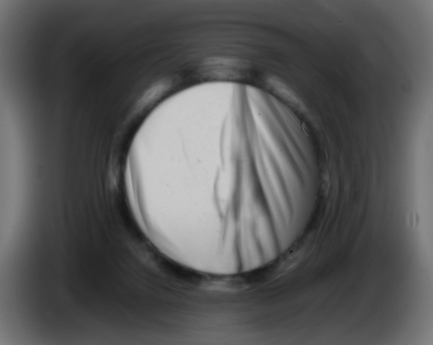 X0000083030072200703022035