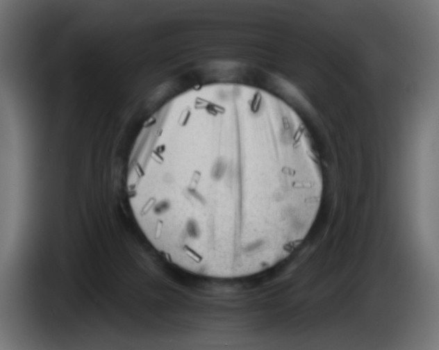 X0000083030073200703022035