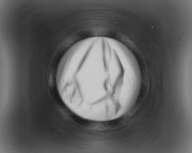 X0000083030074200703022035