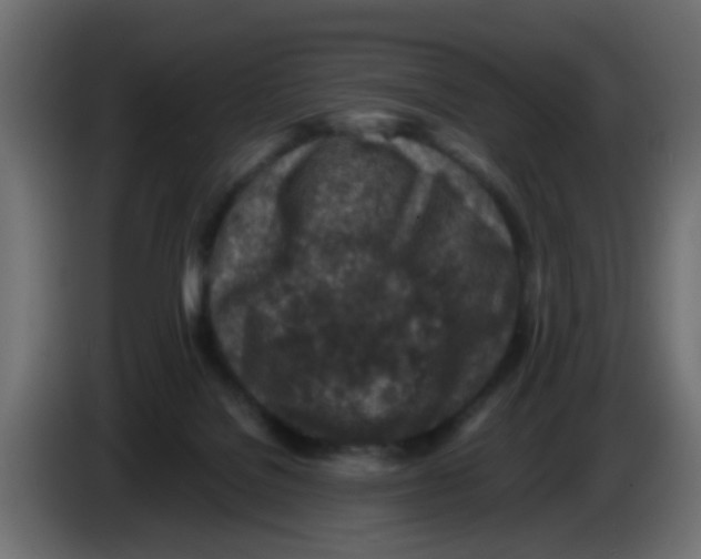 X0000083030076200703022036