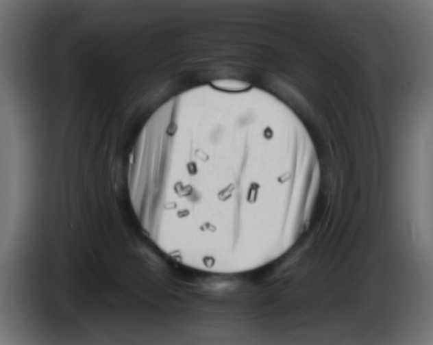 X0000083030077200703022036