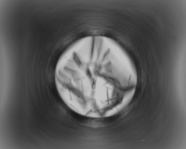 X0000083030078200703022036