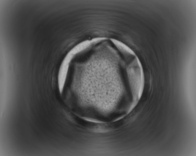 X0000083030080200703022036