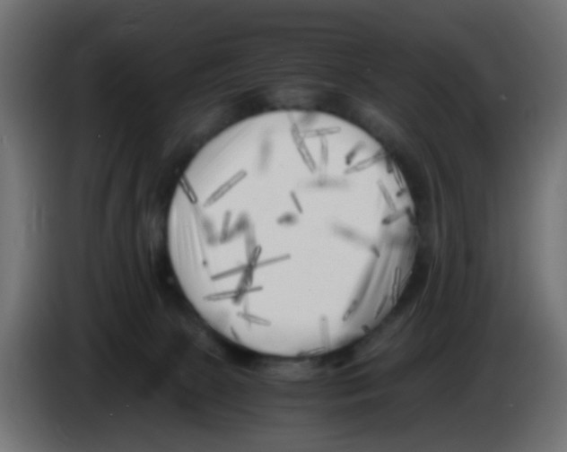 X0000083030081200703022036