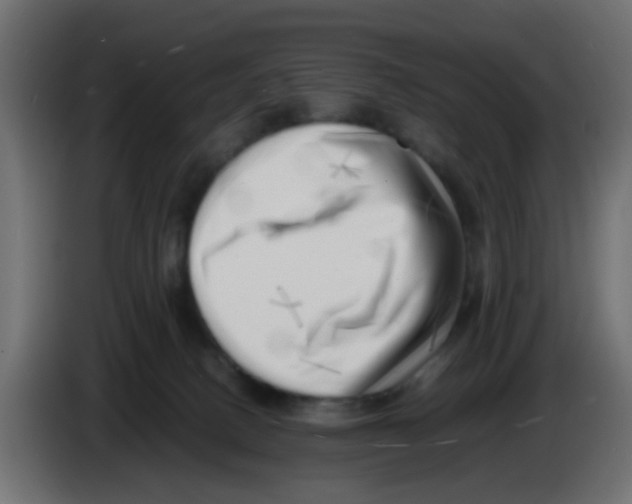 X0000083030082200703022036