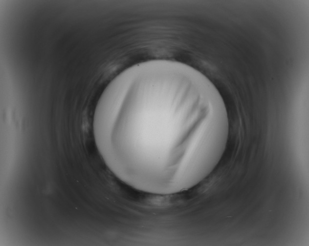 X0000083030084200703022036