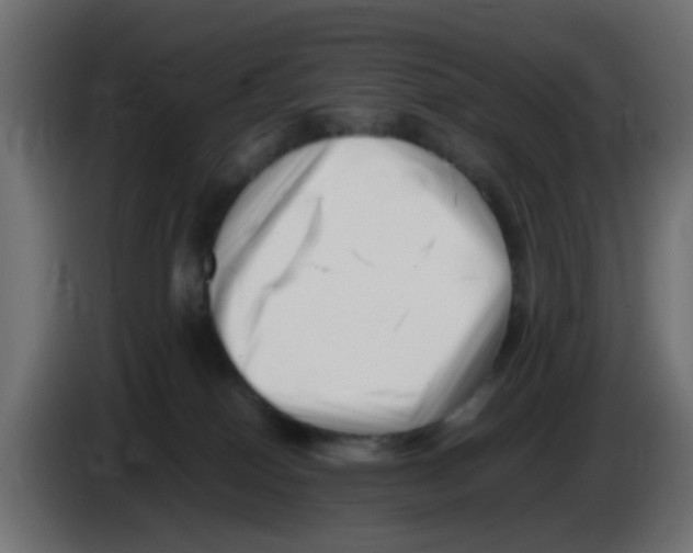 X0000083030086200703022036