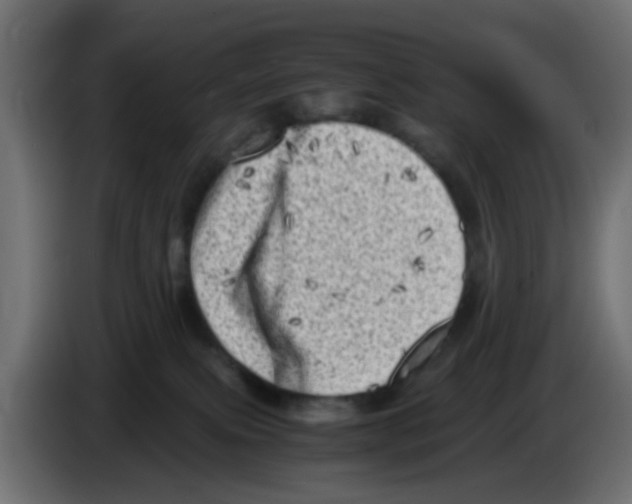 X0000083030087200703022036