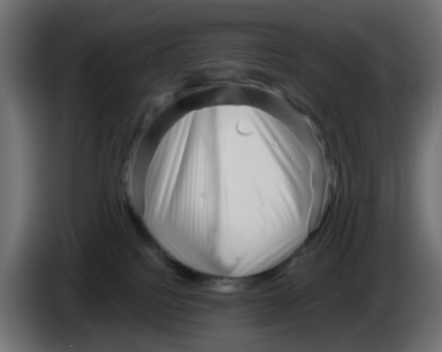 X0000083030088200703022036