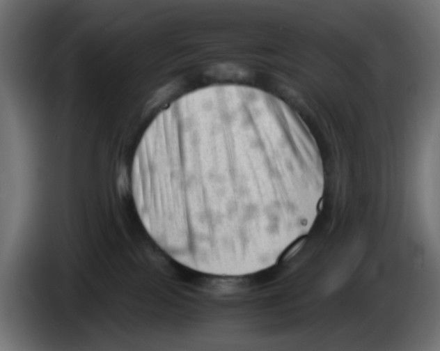 X0000083030089200703022036