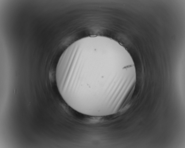 X0000083030090200703022036