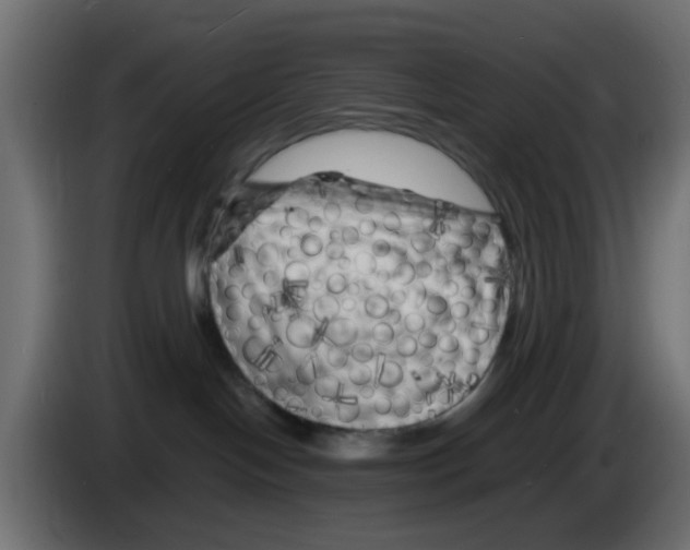 X0000083030094200703022036