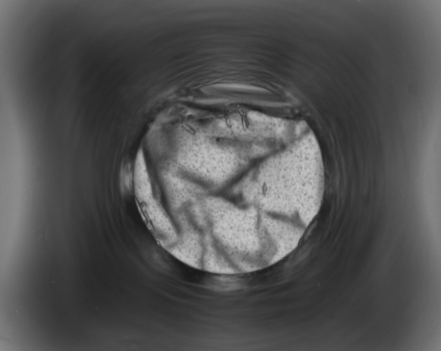 X0000083030095200703022036