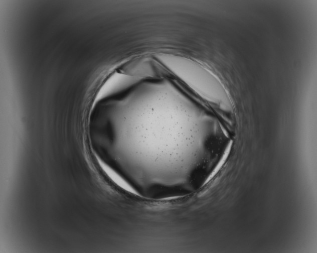 X0000083030097200703022035