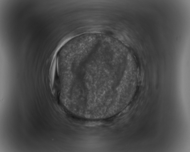 X0000083030099200703022035