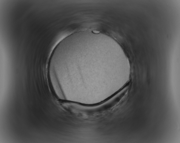 X0000083030100200703022035