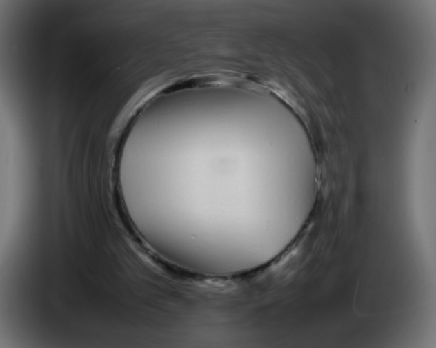 X0000083030101200703022035